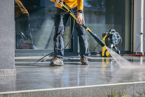 Best Gutter Cleaning  in Fremont, OH